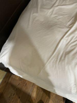 STAINS ALL OVER THE BED SHEETS!!!