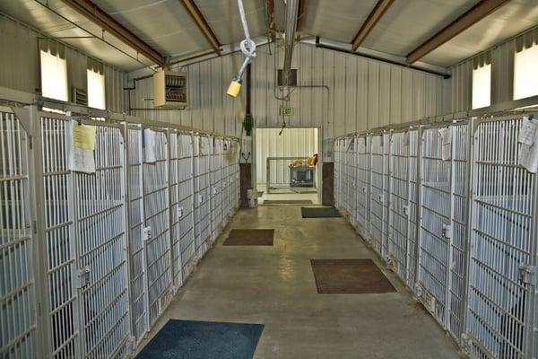 Inside view of the kennel runs.