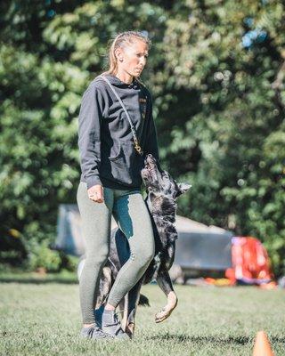 Ridgeside K9 Summerville Dog Training