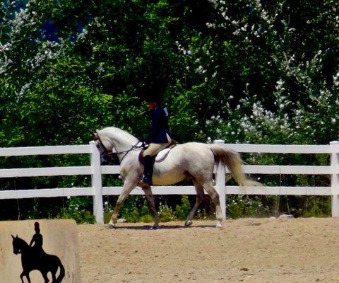 Longview Charity Horse Show