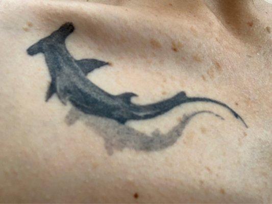 Scalloped hammerhead tattoo by Ike.