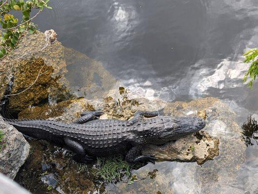 Big Cypress Oasis Visitor Center