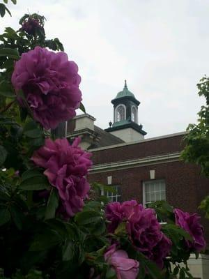 Longview Library