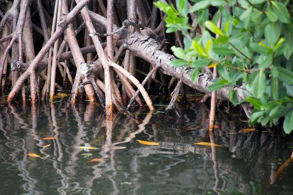 Indian River - Florida Boat Rentals, Vero Beach