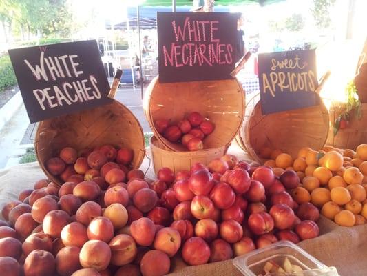 Thursday Night Certified Farmers Market and Street Fair