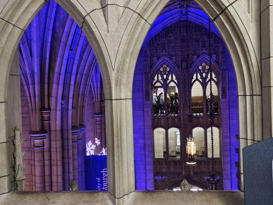 The blue lights truly brought out the beautiful architecture