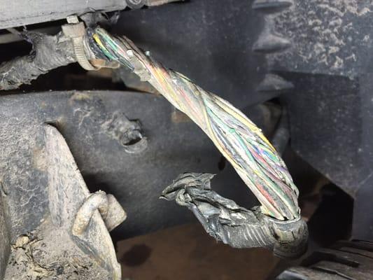 We fix melted and damaged wiring harnesses. Rodent, accident, water, and fire damaged harnesses included!