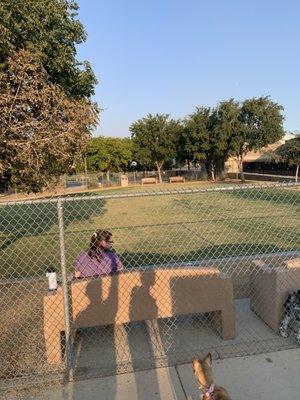 Dog park