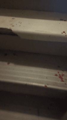 Blood on stairs