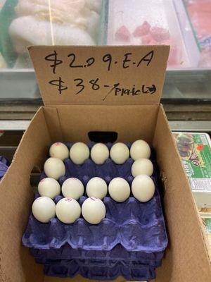 Duck embryo eggs ( balut )