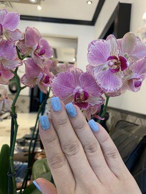 Blue ombre nails