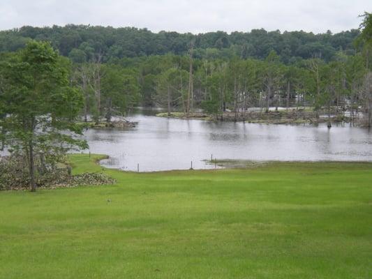 Wilson's Steak and Seafood is a traditional catfish restaurant in Webster Parish Louisiana.  It's located on the beautiful Lake Bistineau.