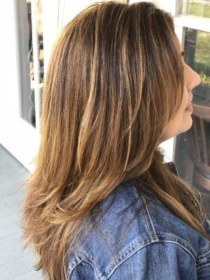 Color & Cut by Bonnie