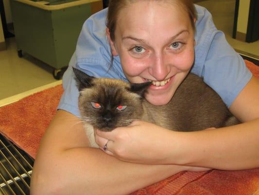 technician Shannon with Siamese kitten!