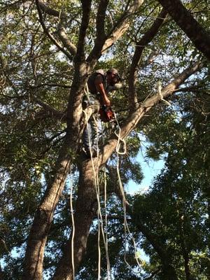 Safely climbing with ropes and harness