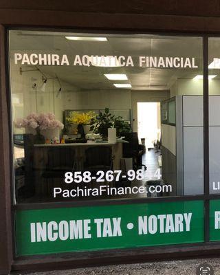 Pachira Aquatica Financial