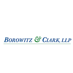 Borowitz & Clark, LLP Bankruptcies Logical Choice