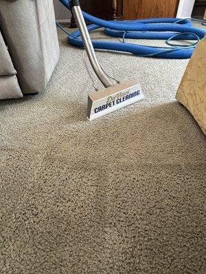 DaVinci Carpet Cleaning - Our professional carpet wand tool guarantees your carpets dry exceptionally fast!