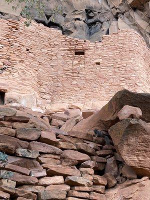 Cliff dwelling at Honanki site (& squirrel)