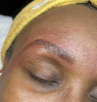 Brow Lamination, Wax, & Tint