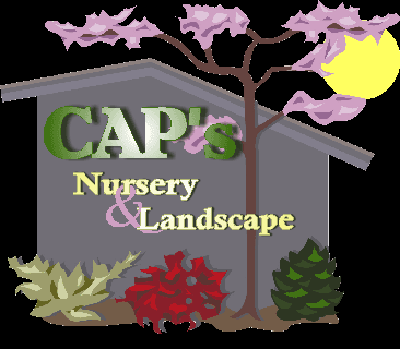 Caps Nursery & Landscape