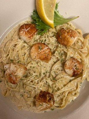 winter special. broiled scallop alfredo.