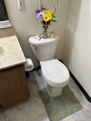 New toilet