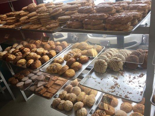 Pan dulce! Which one(s) should I get?!?