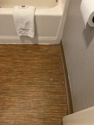 Ugh, is that towel even clean? Look used along with the disgusting stains and dirty floor