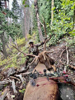 Public land elk hunting