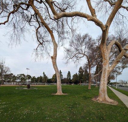 View from the corner of the park