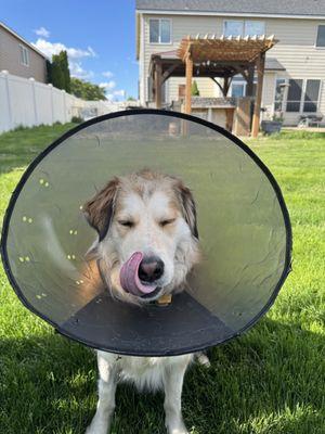 Mr bond with his cone on