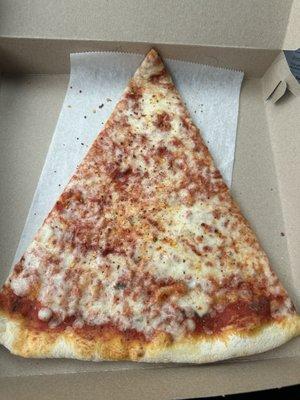 Plain slice was very large