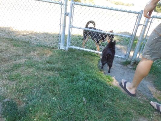 Double gate at Del Rey Oaks Dog Park, Del Rey Oaks, CA.