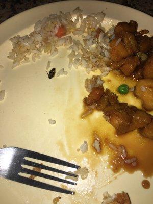 Roach in my rice!!!