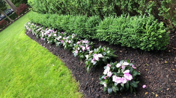 Elegant Plantings