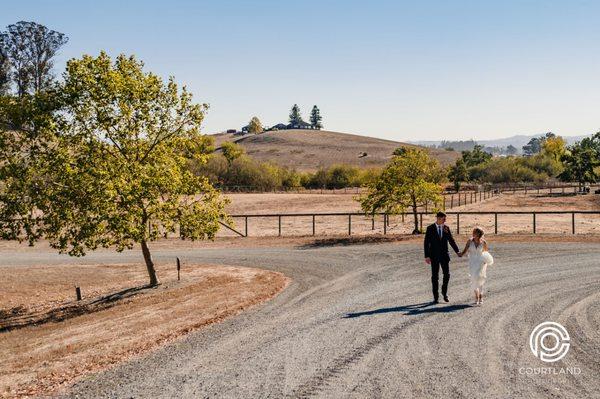 Petaluma hills