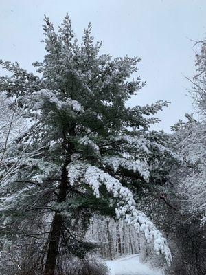 First snow at Addison Oaks!