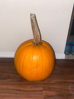 I got a cute little pumpkin for my 2 month old to sit in for photos!