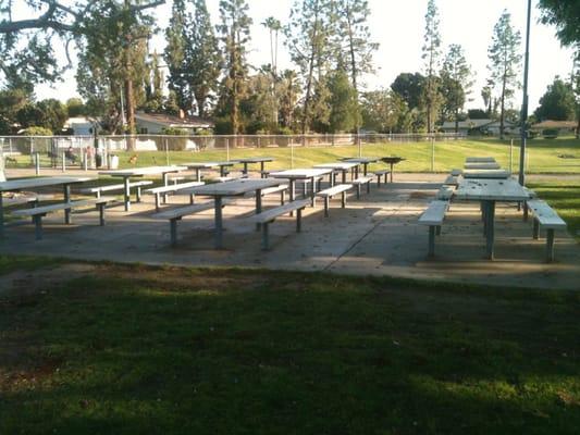 3 areas with many picnic tables for parties