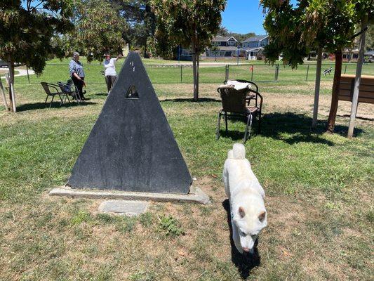 bodhi and a pyramid