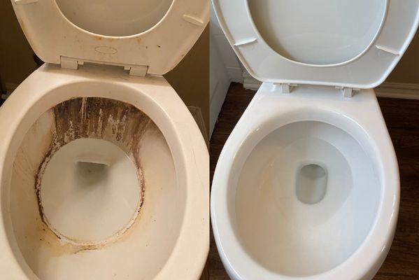 Deep Toilet Cleaning