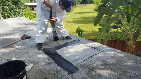 Fixing roof after bee removal