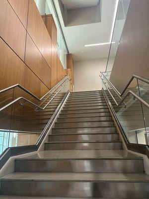 Stairs towards the upper level where the main library is. The downstairs level is catered towards children