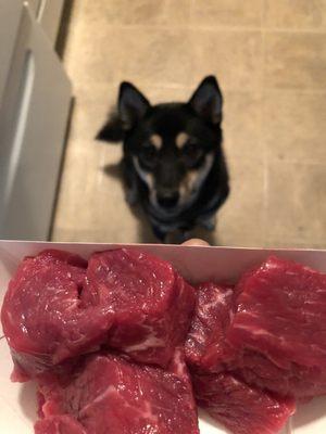 Ino loves the beef stew chunks for a tasty treat!