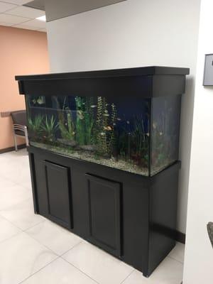 Relaxing fish tank