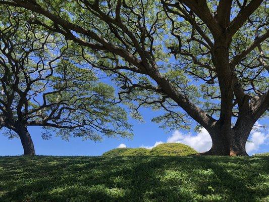 Waiau District Park