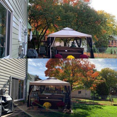 2 trees removed behind the gazebo. Top before bottom after