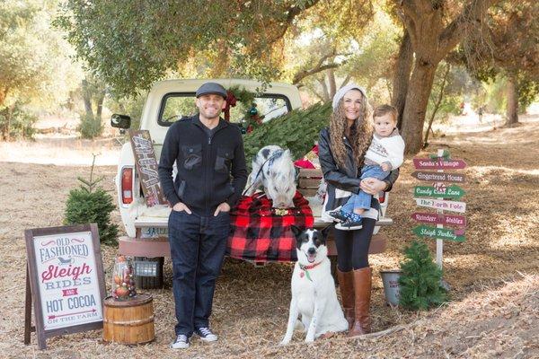 ARV's Christmas Photos. We brought our dog and even the mini pig! 8-)