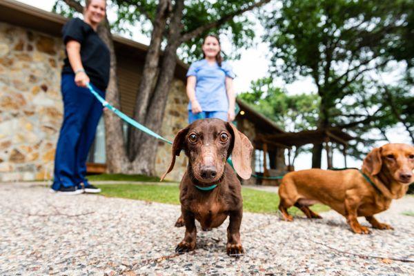 Minnesota Veterinary Hospital